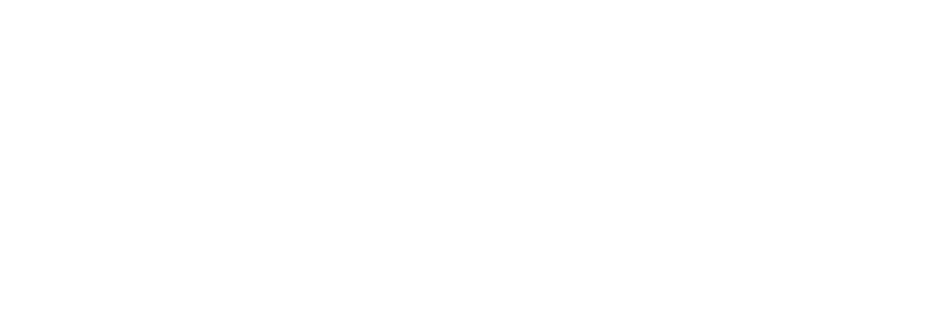 Dekorsam Beyaz Logo